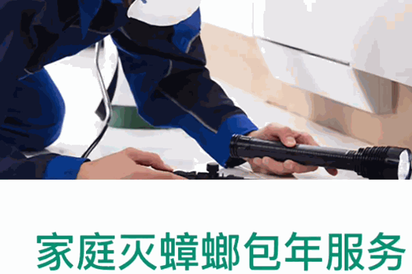 科凌虫控