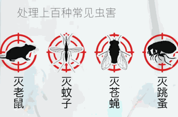 科凌虫控
