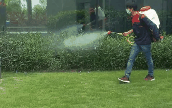 三合消杀除四害
