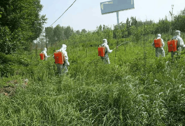 比大生物科技