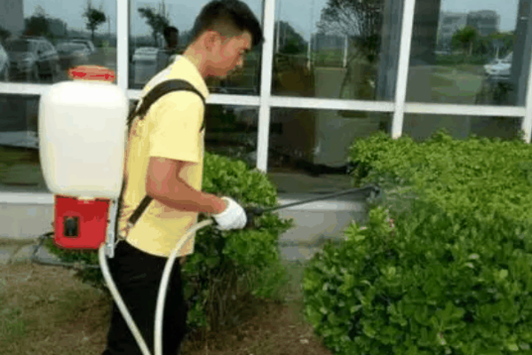 户清虫控