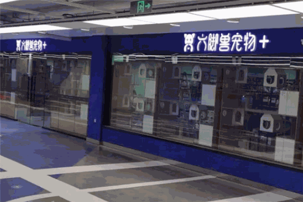 六脚兽宠物