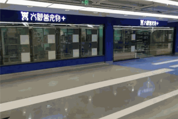 六脚兽宠物
