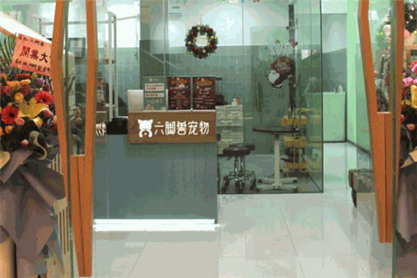 六脚兽宠物