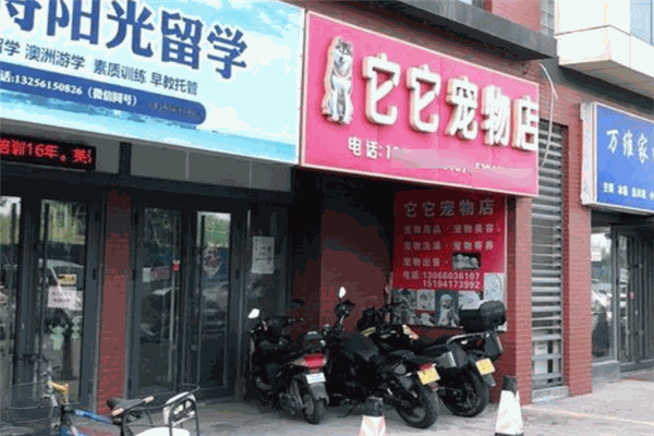 它它宠物店