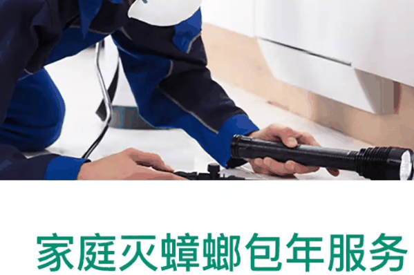 科凌虫控