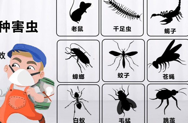 科凌虫控