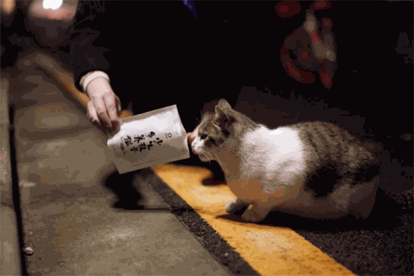 猫狗先生宠物生活馆