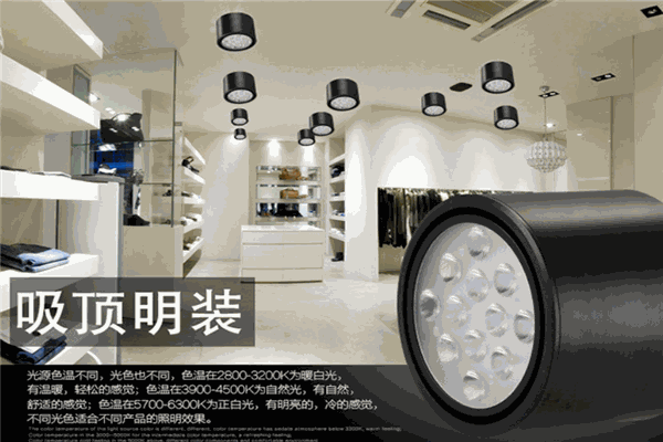 莱维奇照明