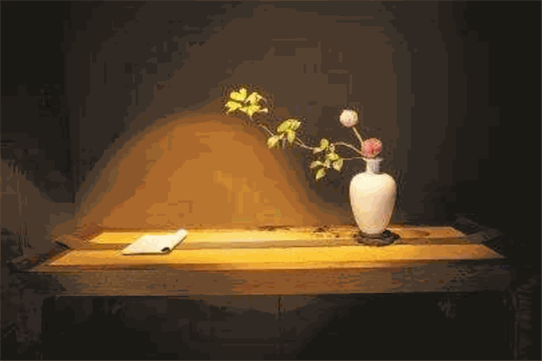 洁士伦节能灯