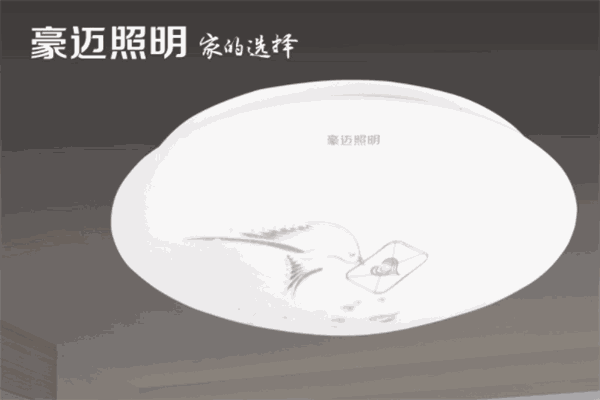 豪迈照明