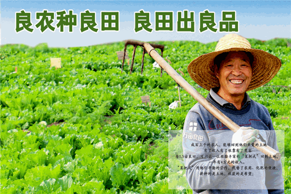 万亩良田