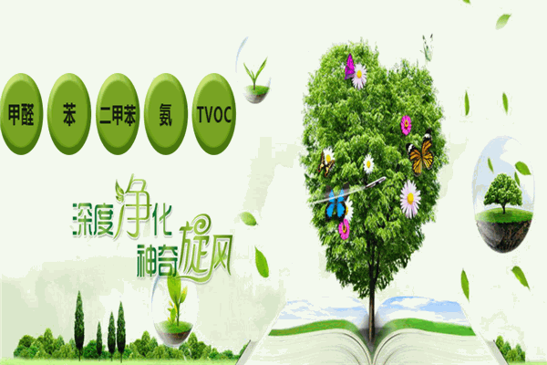 净旋风室内环保