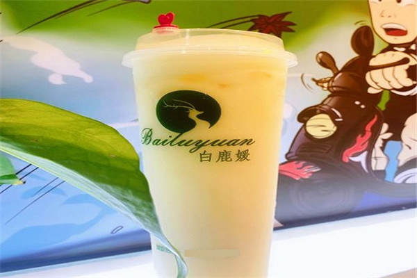 白鹿媛奶茶