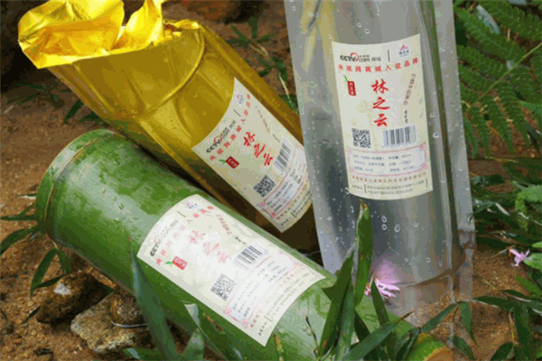 富贵竹酒