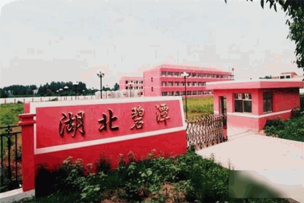 碧潭酒业白酒