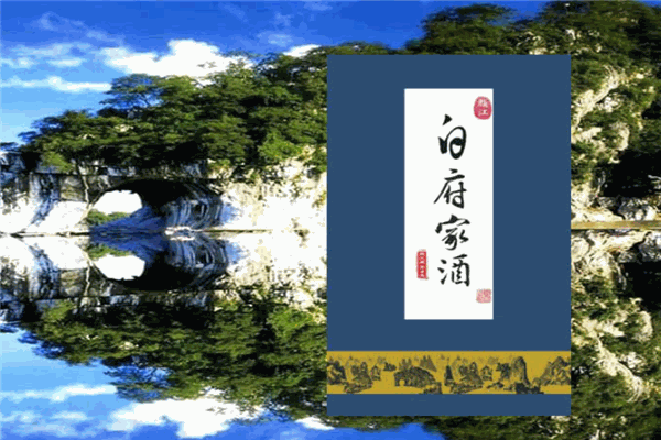 白府家酒