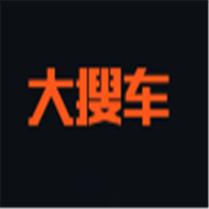 大搜车二手车加盟