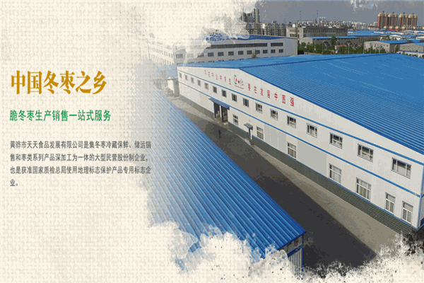 十月红冬枣