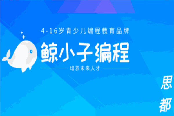 鲸小子少儿编程