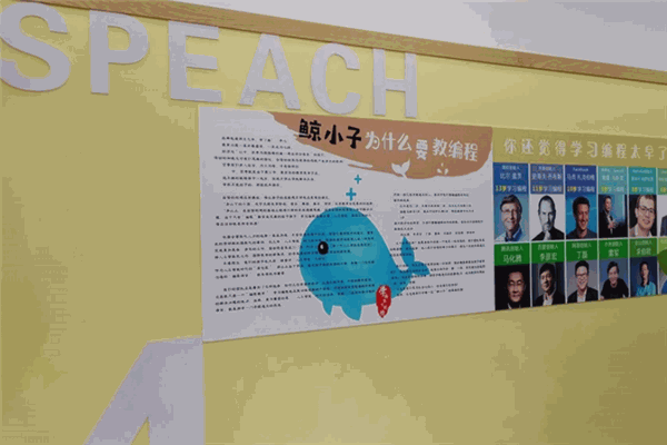鲸小子少儿编程