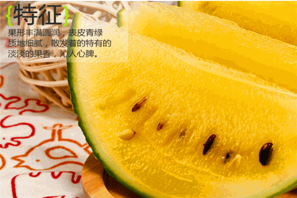 阳光味道果业