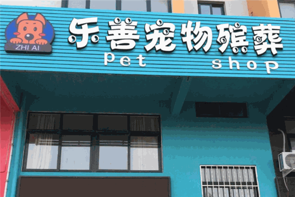 乐善宠物善终服务