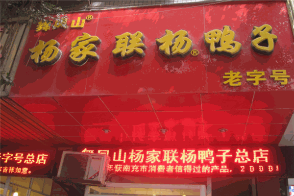 杨家联杨鸭子