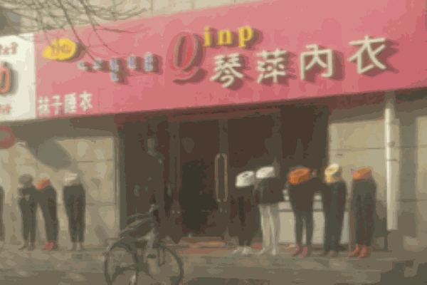 琴萍内衣