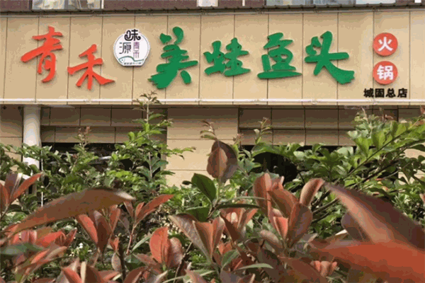 青禾美蛙鱼头火锅