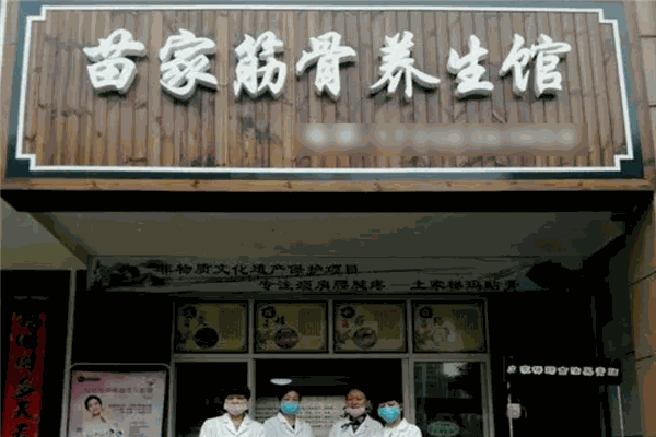 苗风医药