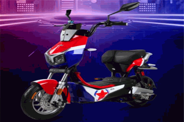华生电动车