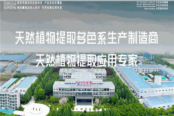 中大恒源
