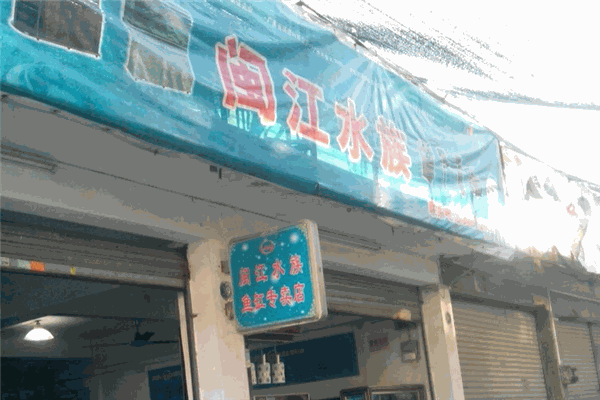 闽江水族
