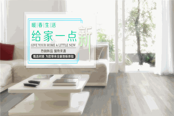 佰泰地板