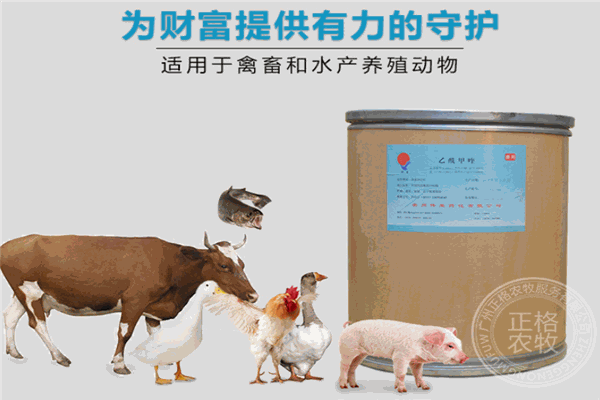 绿曼兽药