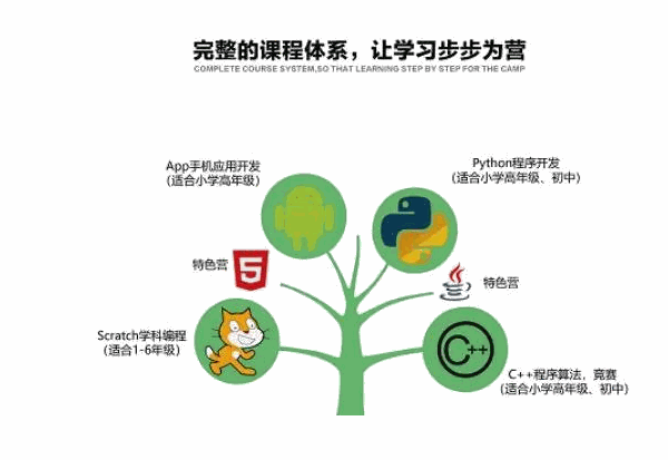 鲸小子少儿编程