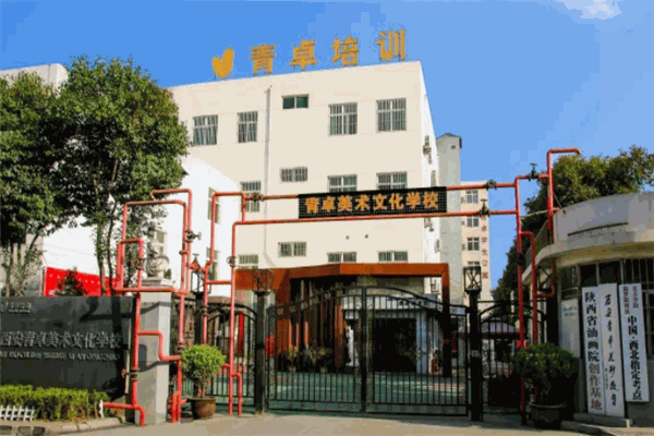 青卓画室