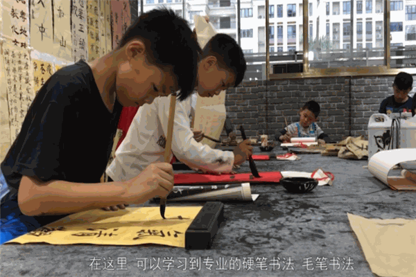 才子书画苑