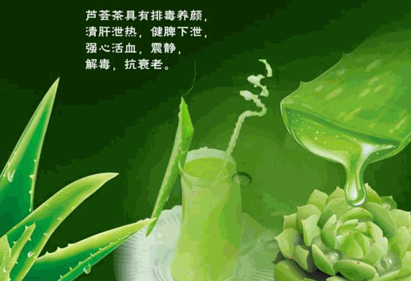 瑷露德玛芦荟生活馆