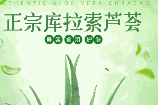 瑷露德玛芦荟生活馆