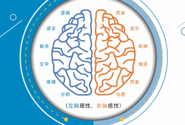 美赋全脑开发