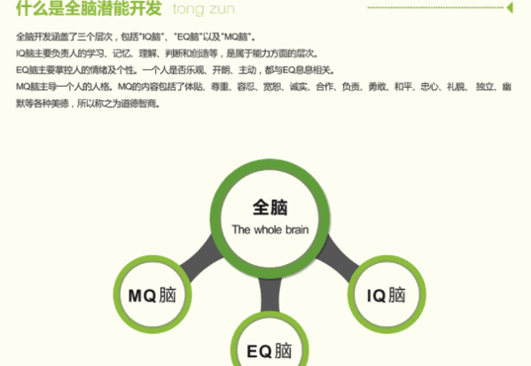 美赋全脑开发