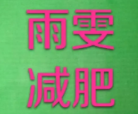雨雯专业减肥加盟