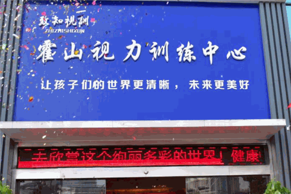 致知视训