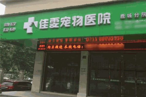 佳雯宠物医院