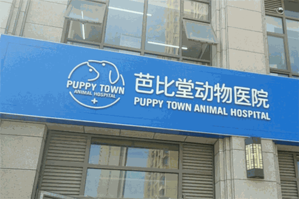 芭比堂动物医院