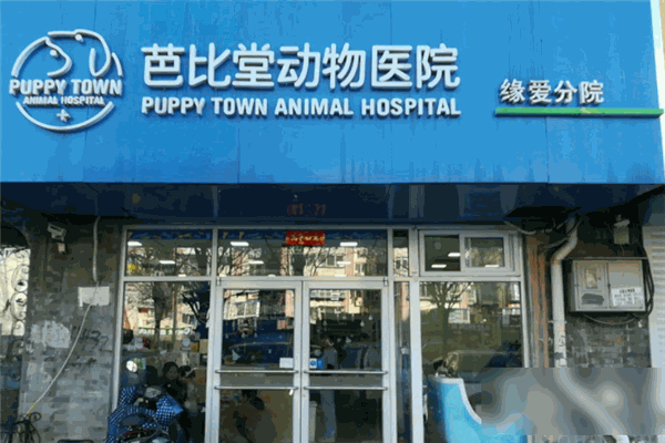 芭比堂动物医院