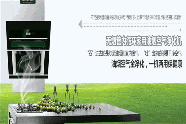多环油烟净化机