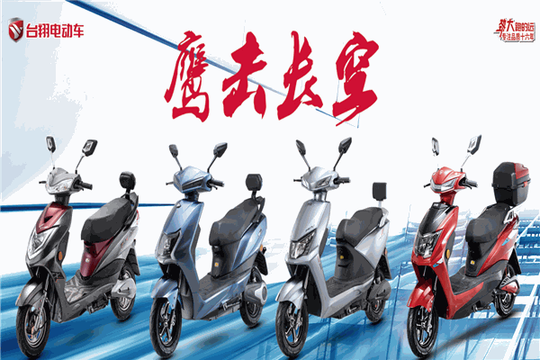 台翔电动车